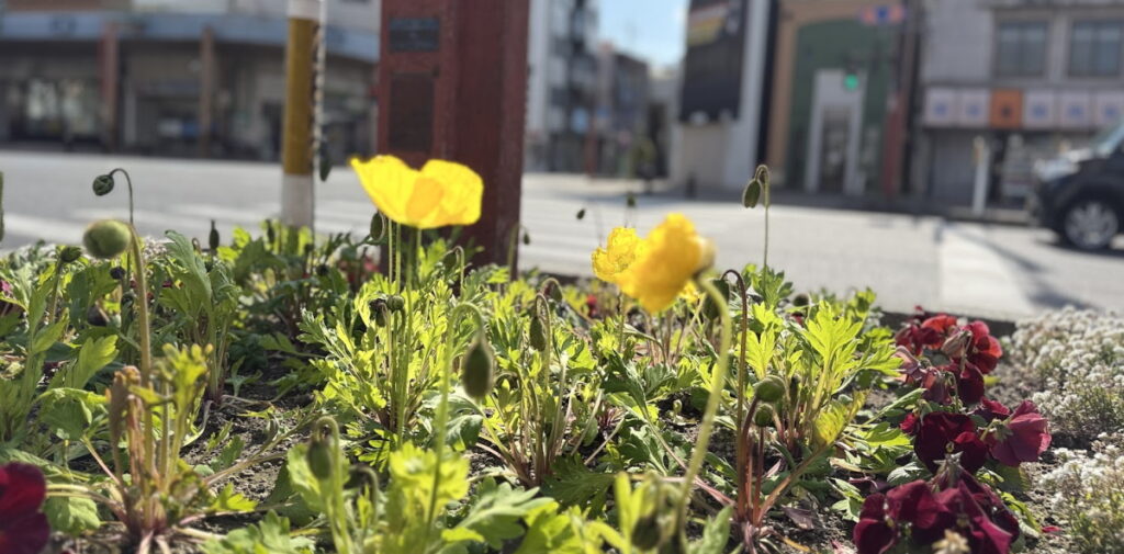 妻の浮気が発覚し浮気は終わったけど…戦う夫の独白｜探偵事件簿-福岡