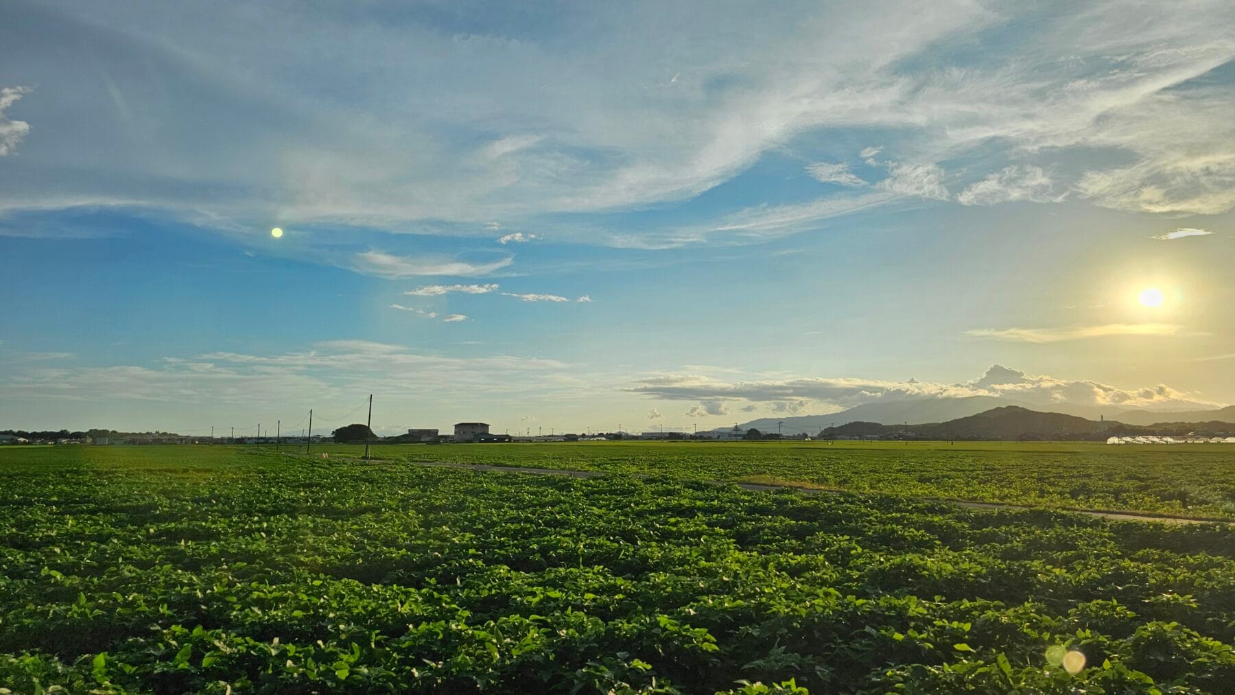 未来のために正しい行動を