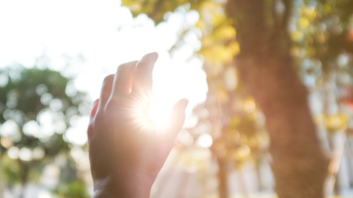 浮気調査で真実を知る｜探偵、福岡の帝国法務調査室